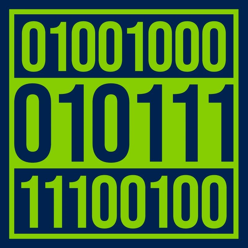 Binary Code Program Language
