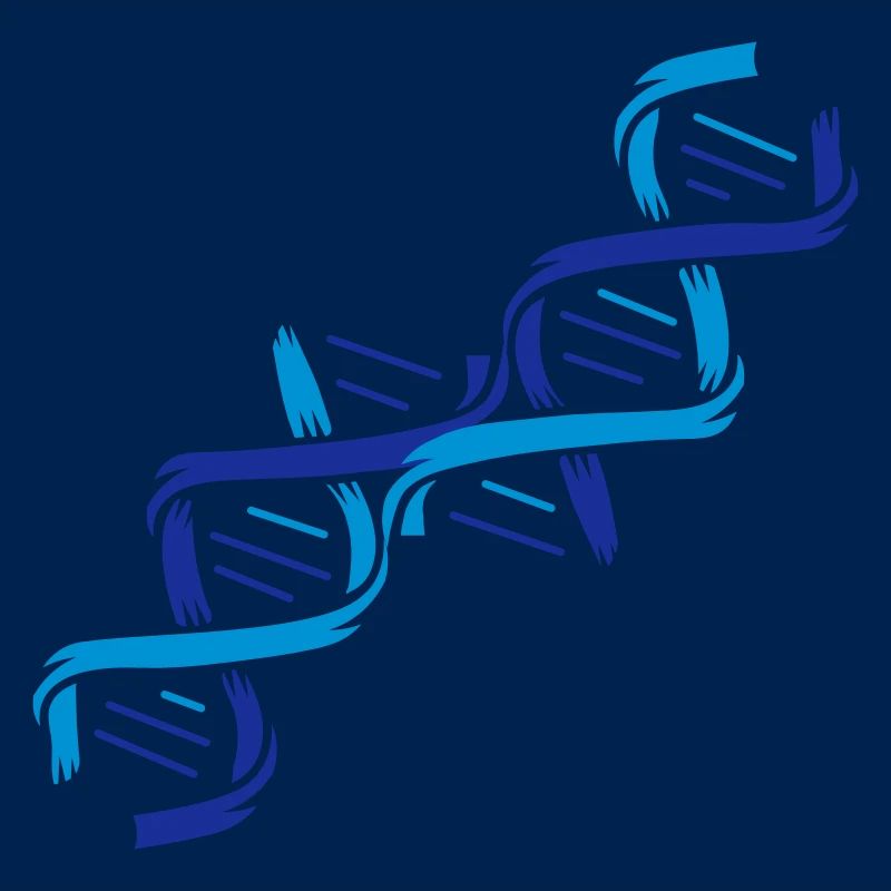 La structure d'une molécule d'ADN