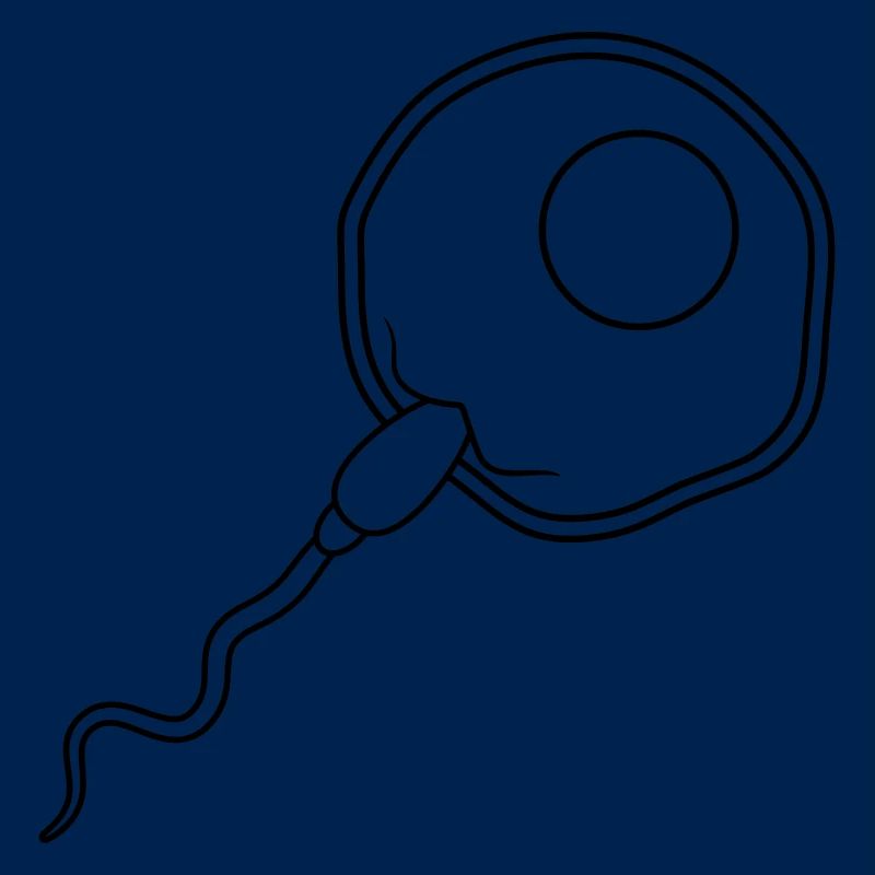 fertilization egg insemination egg sperm sperm