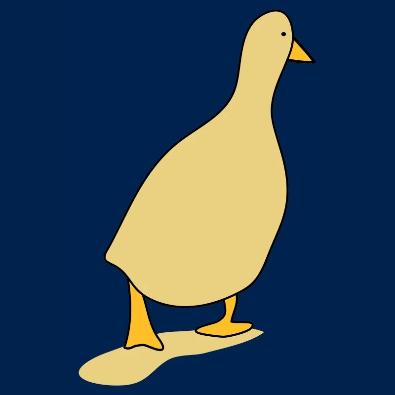 Oiseau canard 3