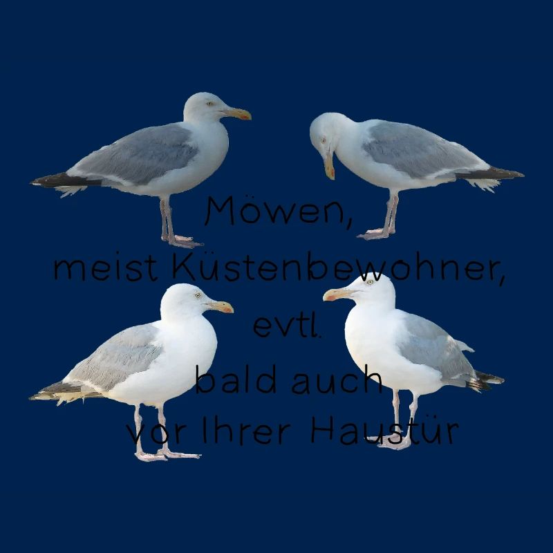 Möwen mit Spruch