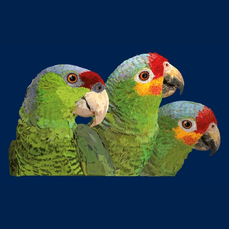 Red-fronted Amazon and lilac-crowned parrot