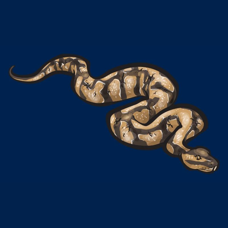 Ball Python Snake King Python