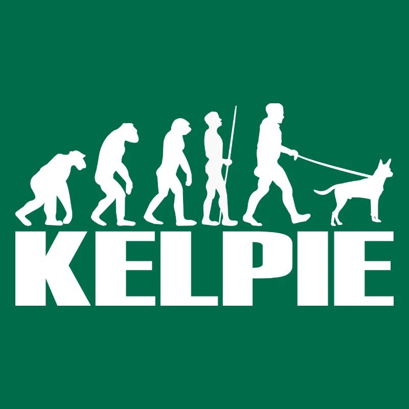 Kelpie Australian Chien Evolution
