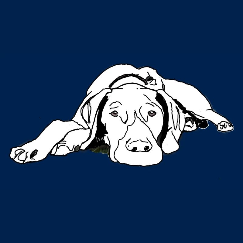 Pointer Deutsch Kurzhaar