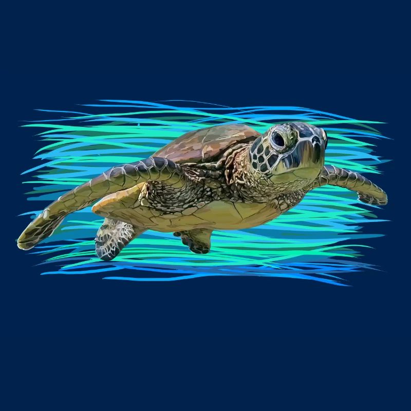 Turtle