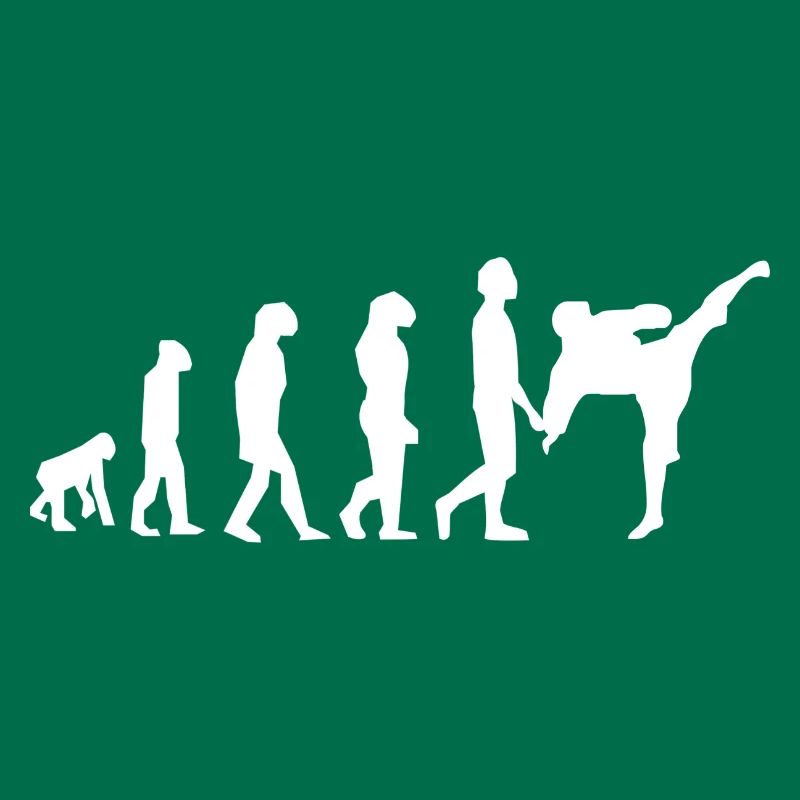 Martial arts evolution