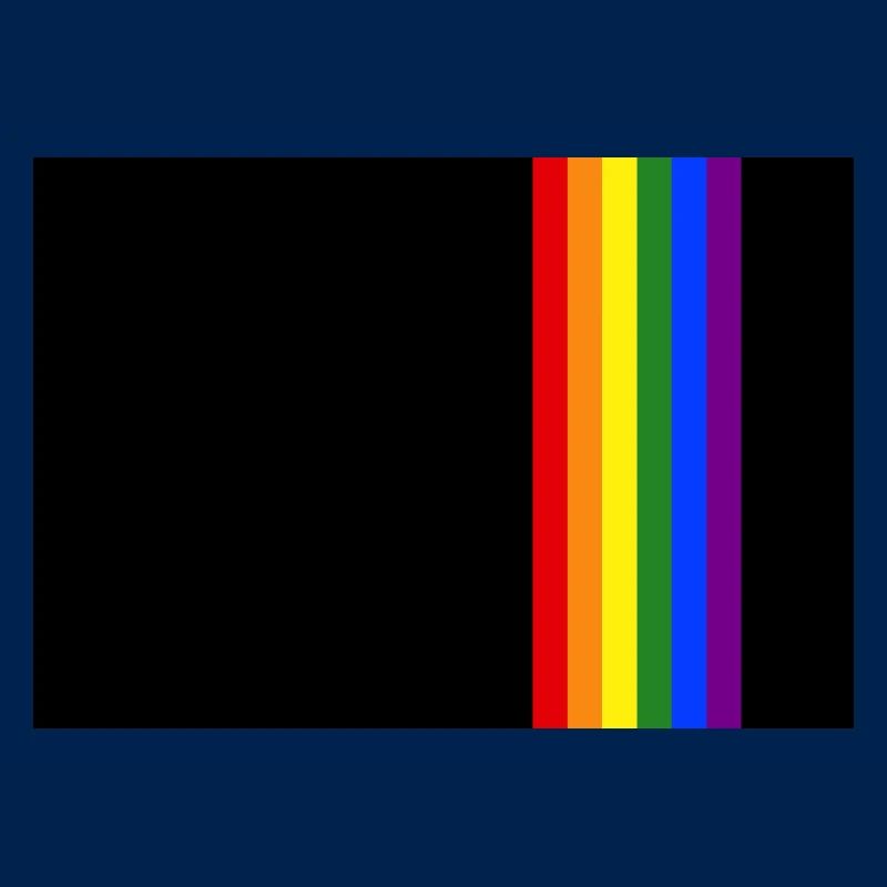Rainbow Pride LGBT Stripe