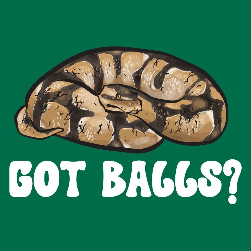 Ball Python Snake King Python