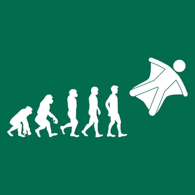 Wingsuit flying Base Jumping Skydiving Evolution