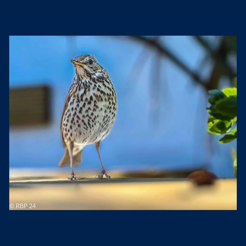 3C6DAC94 2483 48C8 B3C0 C91D9BD6FBB1