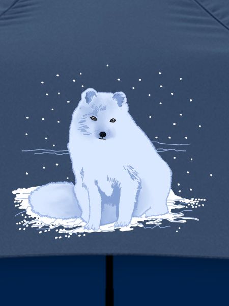 Polarfuchs im Schnee