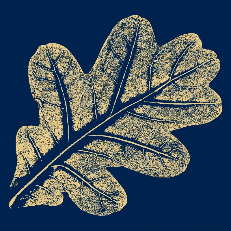 Blatt Eiche / Eichenblatt - Natur Design
