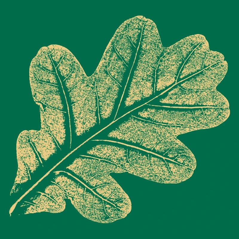 Blatt Eiche / Eichenblatt - Natur Design