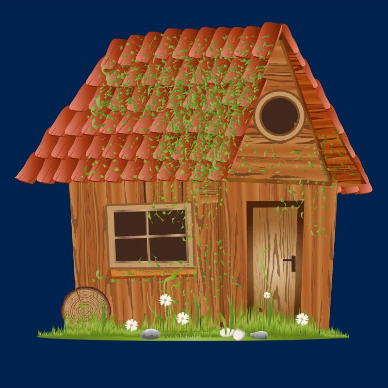 small windswept rustic hut