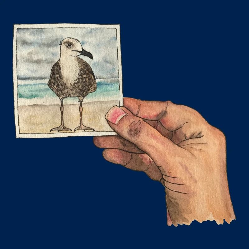 Main avec photo d'une mouette