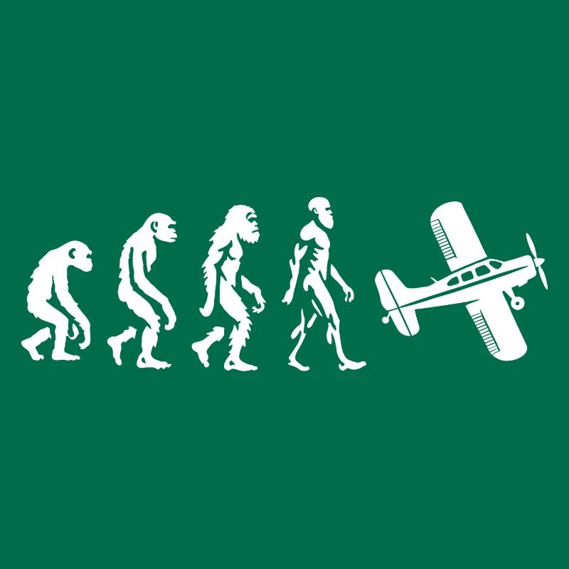 Evolutionary Airplain Flying Fun