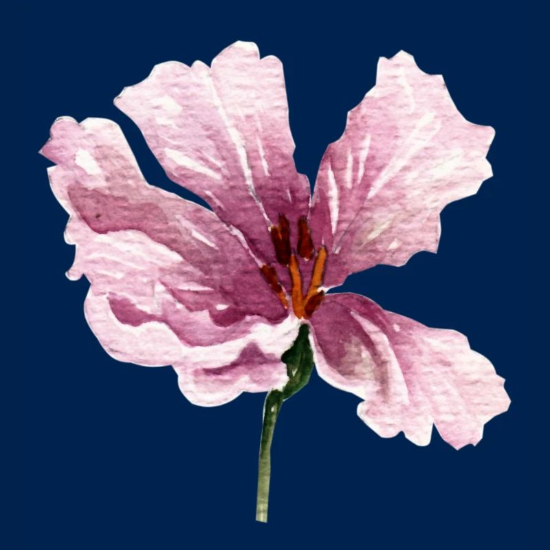 fleur rose