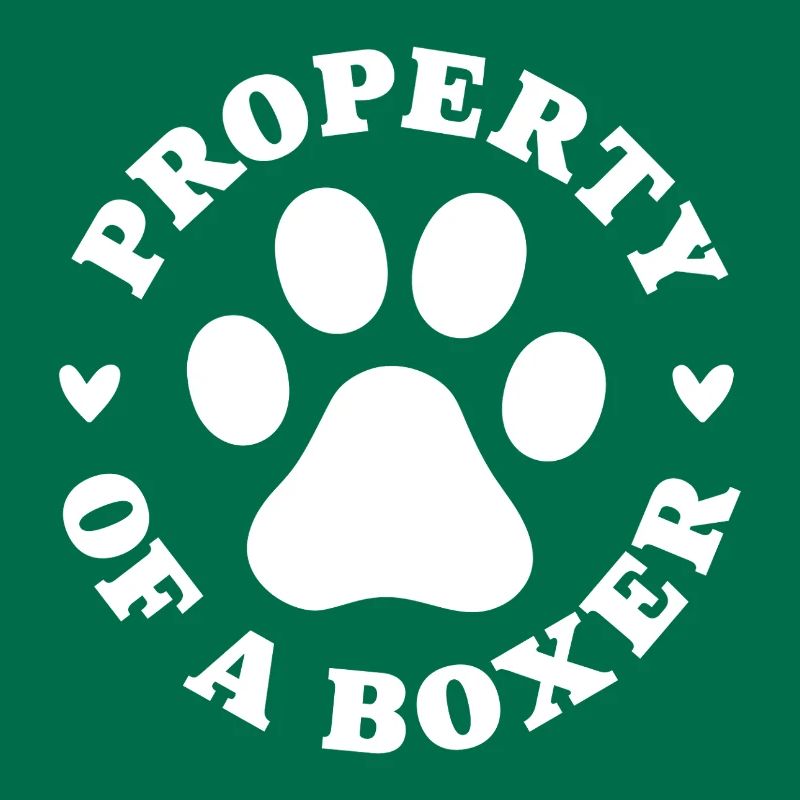 Eigentum eines Boxers