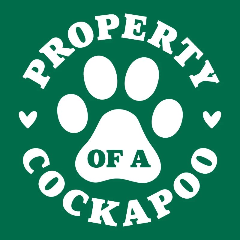 Propriété d’un Cockapoo