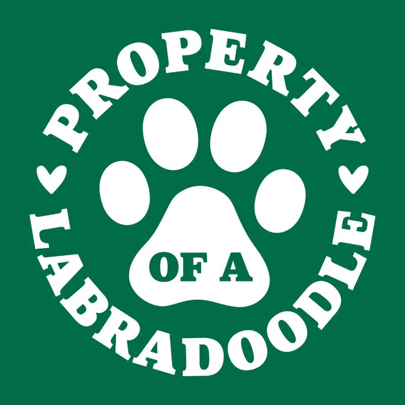 Eigentum eines Labradoodles