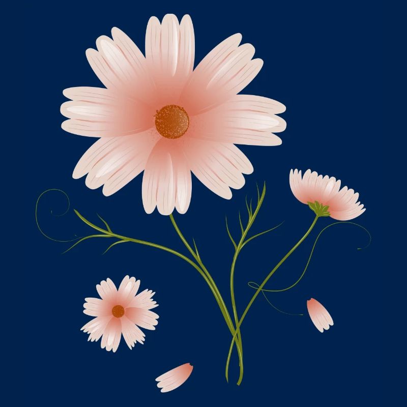 belle illustration de fleurs roses de fleur de cosmea