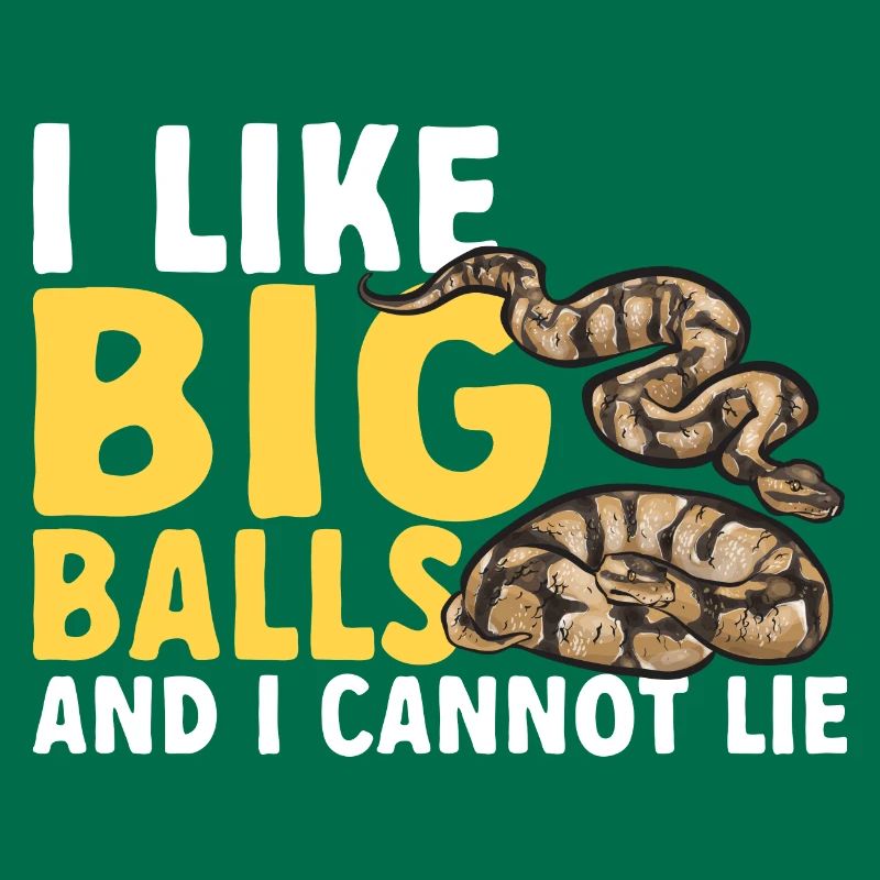 Ball Python Snake King Python