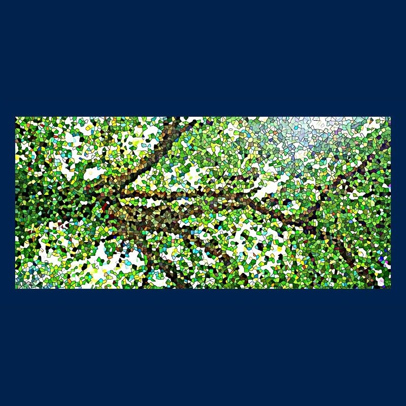 Die anmutigen Äste eines Baumes