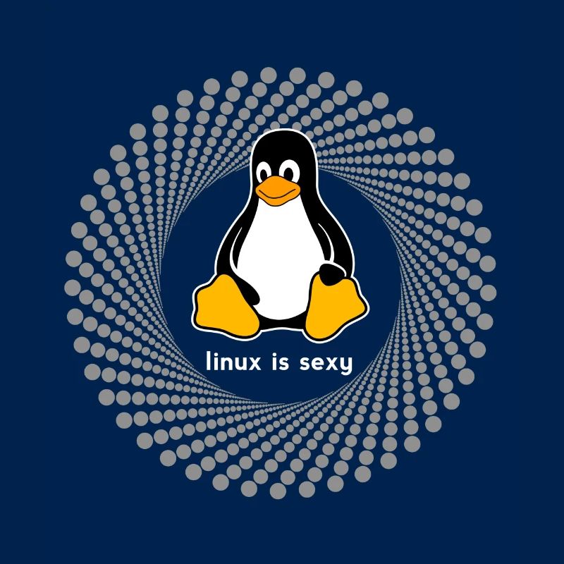 Pingouin pc Computer Nerd sysadmin programme geek