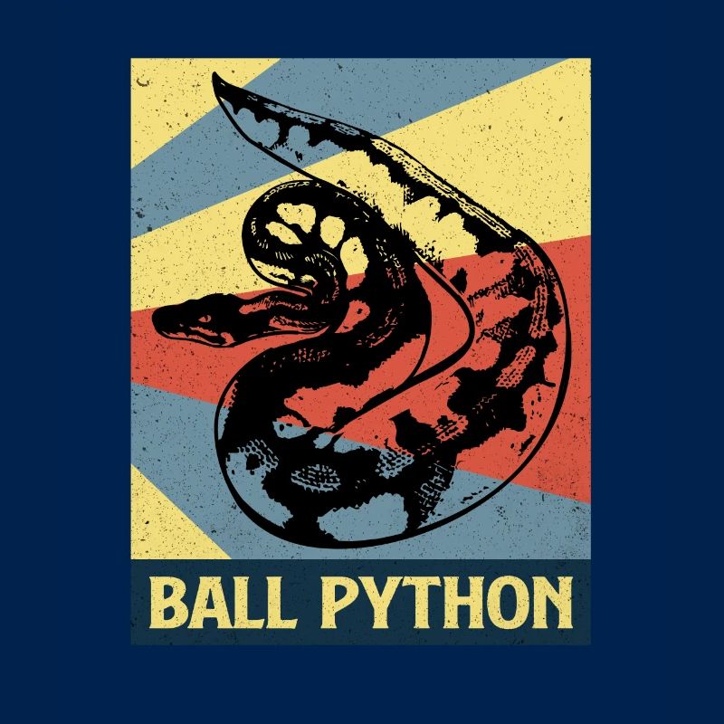 Python