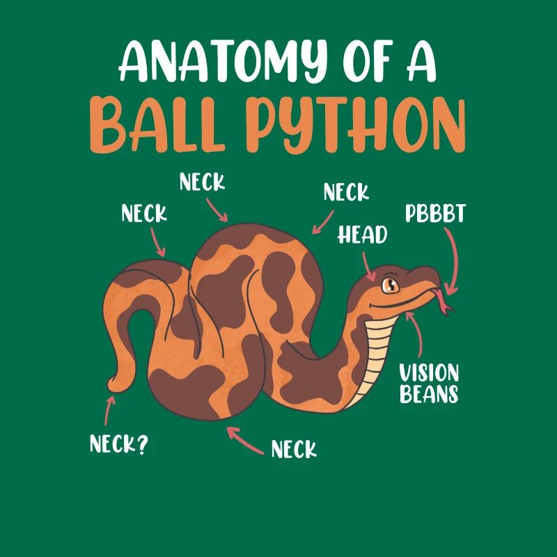 Snake Anotomy of a King Python Ball Python