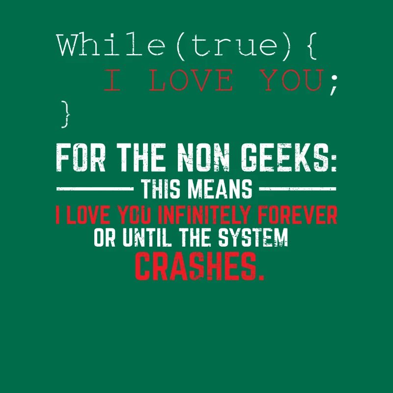 Funny Geek Lover Software Engineer Programmer Deve