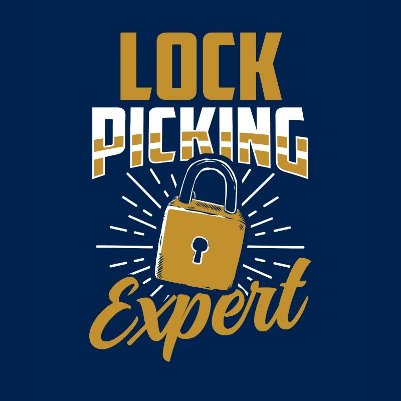Lockpicking Expert Cracking Lock Lock Picking