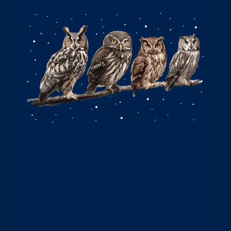 Nachteule Eule Eulen Vogel