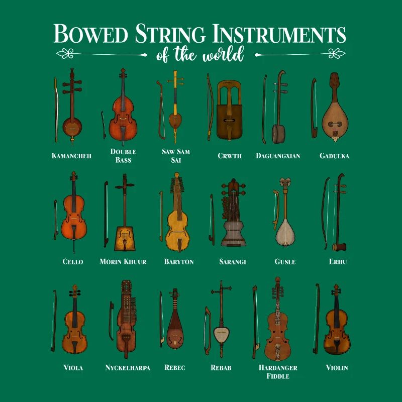 Various String Instruments