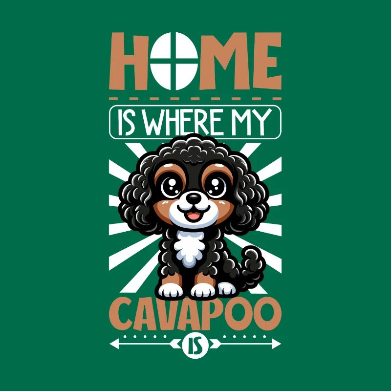 Zuhause - Cavapoo