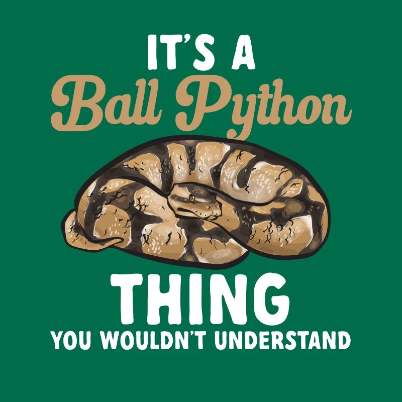 Ball Python Schlange Königspython