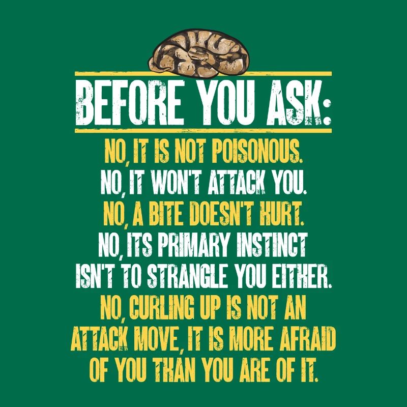 Ball Python Schlange Königspython