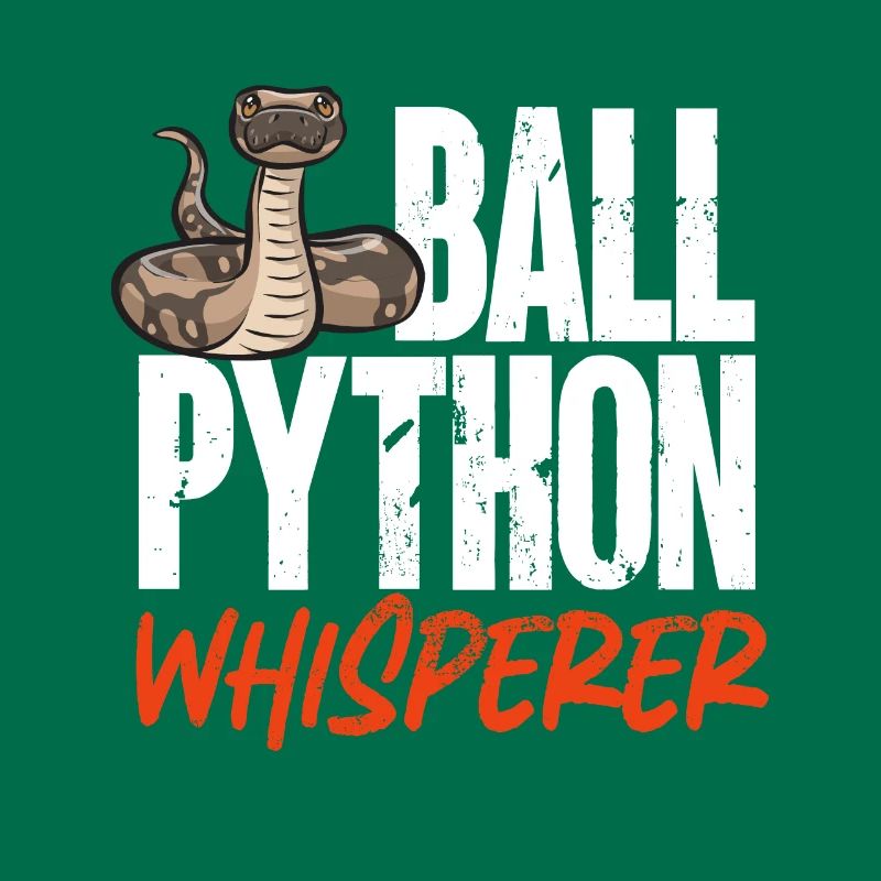 Ball Python Schlange Königspython