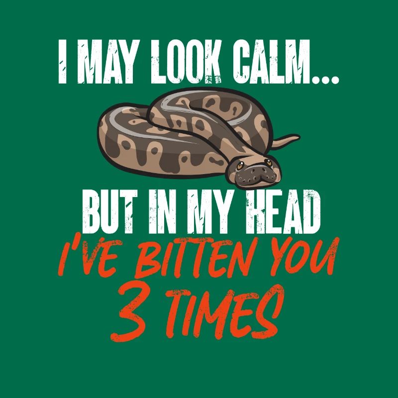 Ball Python Snake King Python