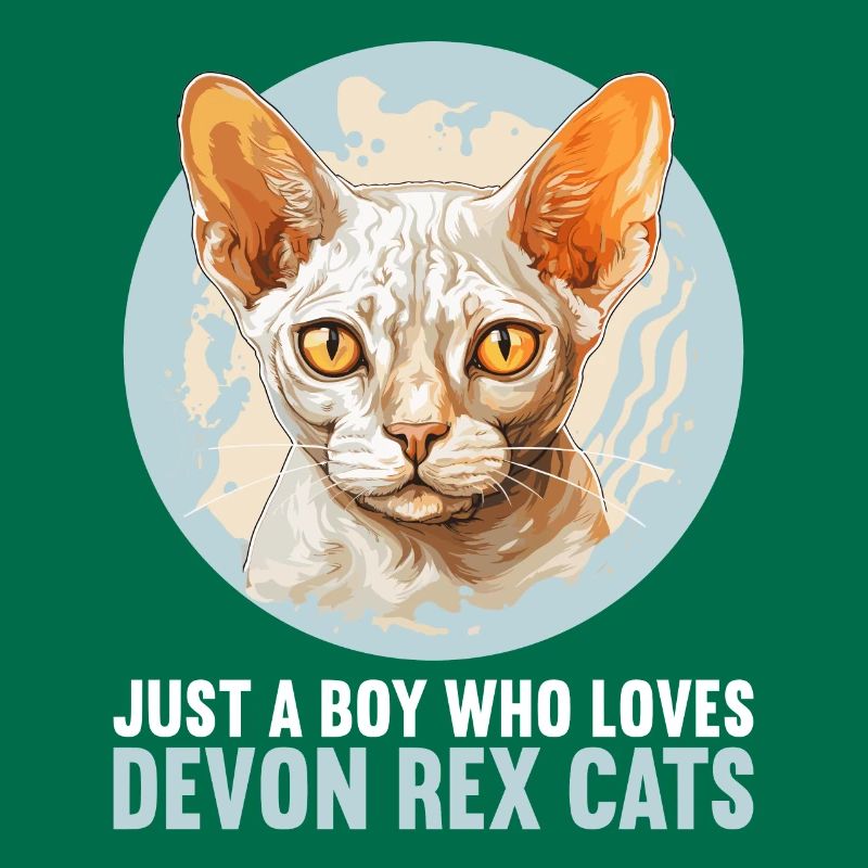 Devon Rex Kitten Devon Rex Cat