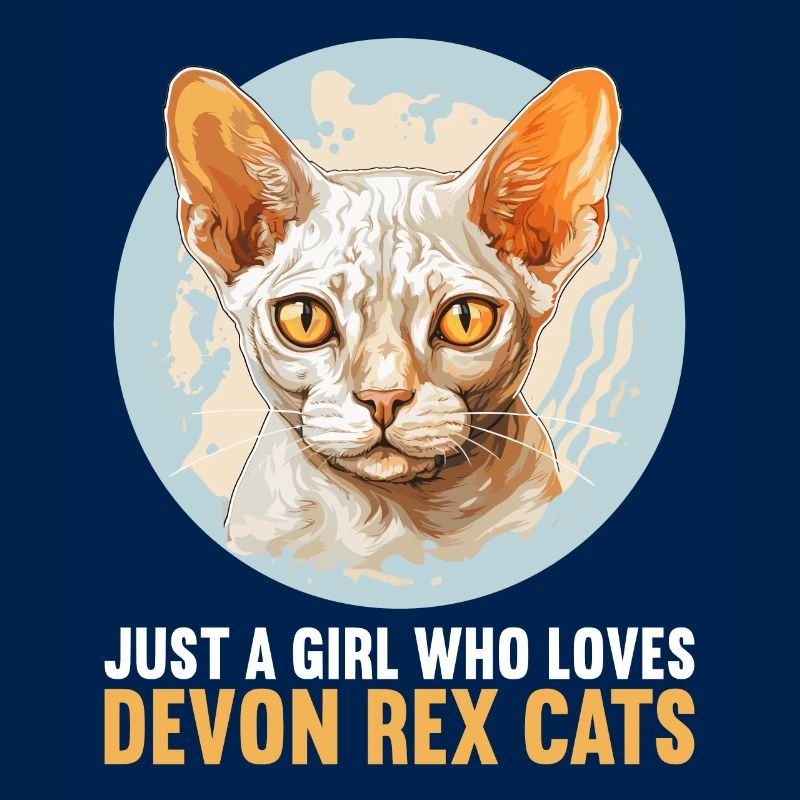 Chaton Devon Rex Chat Devon Rex