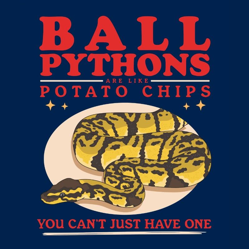 Königspython Python Schlangen Geschenke