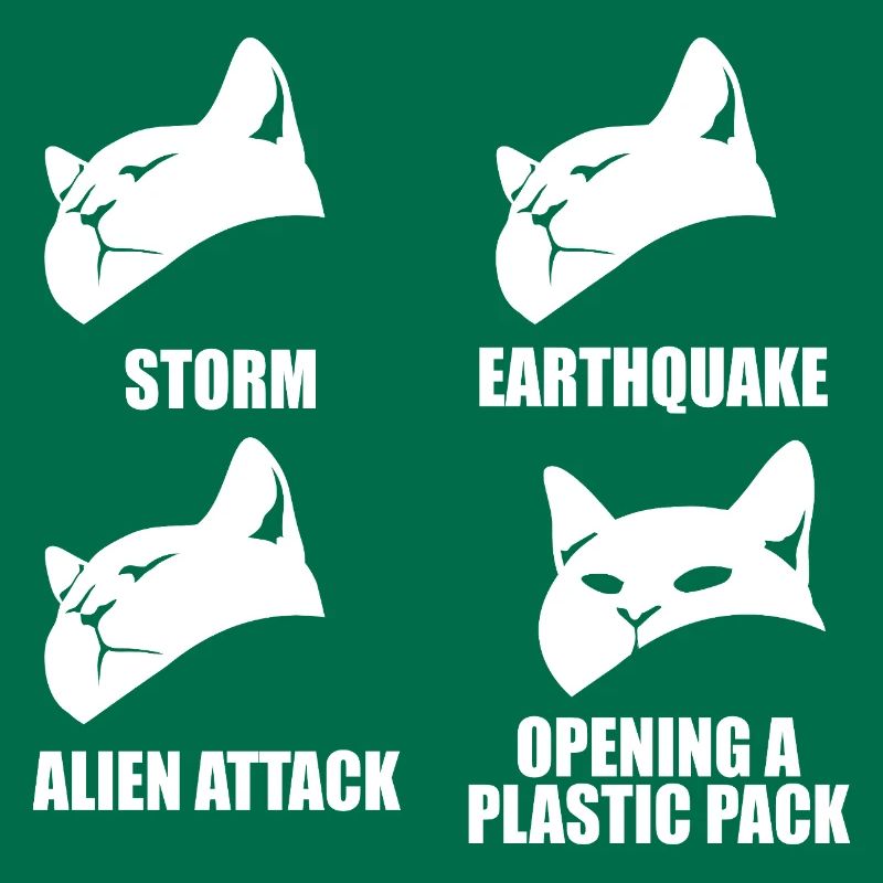 Cat - selective perception - saying