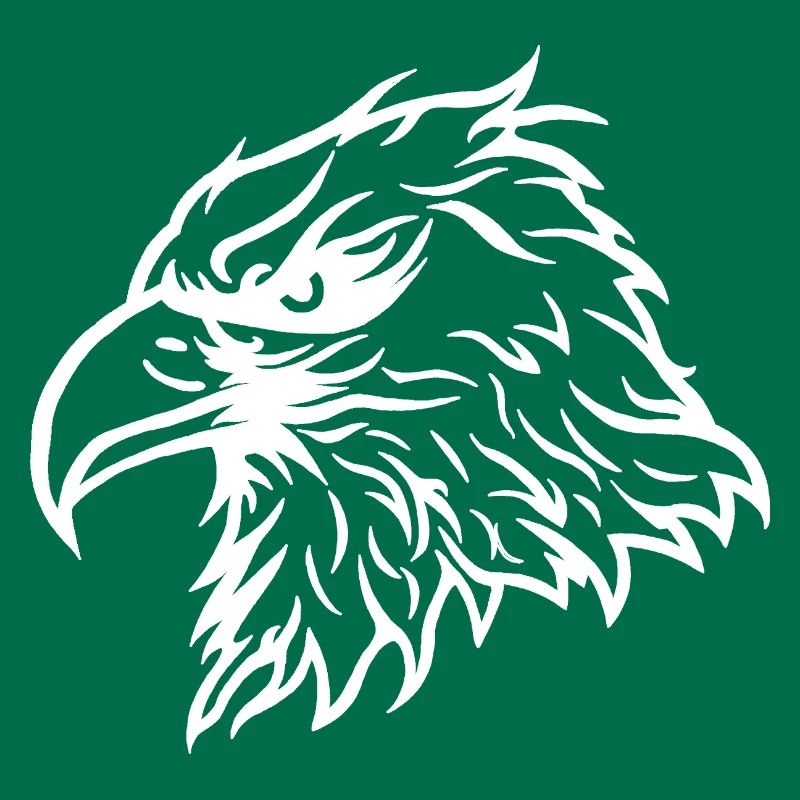 Cool Bald Eagle Eagle