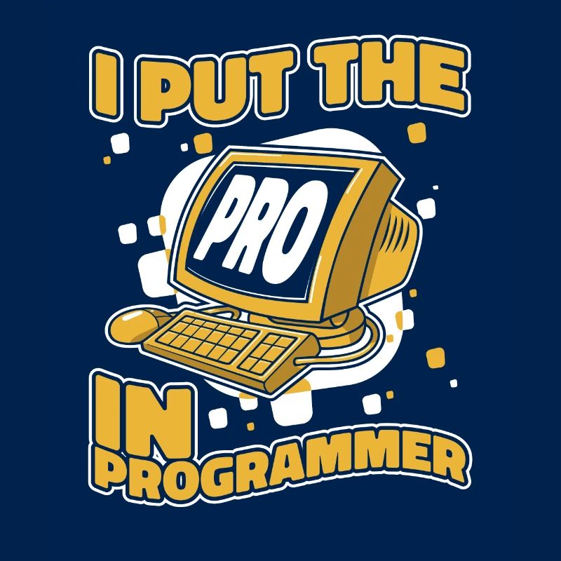 I Put The Pro In Programmer Developer Coder