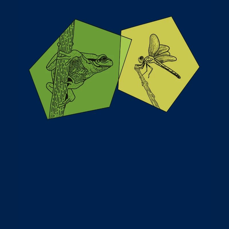 Toad, tadpole, tree frog, frog breeder, frog