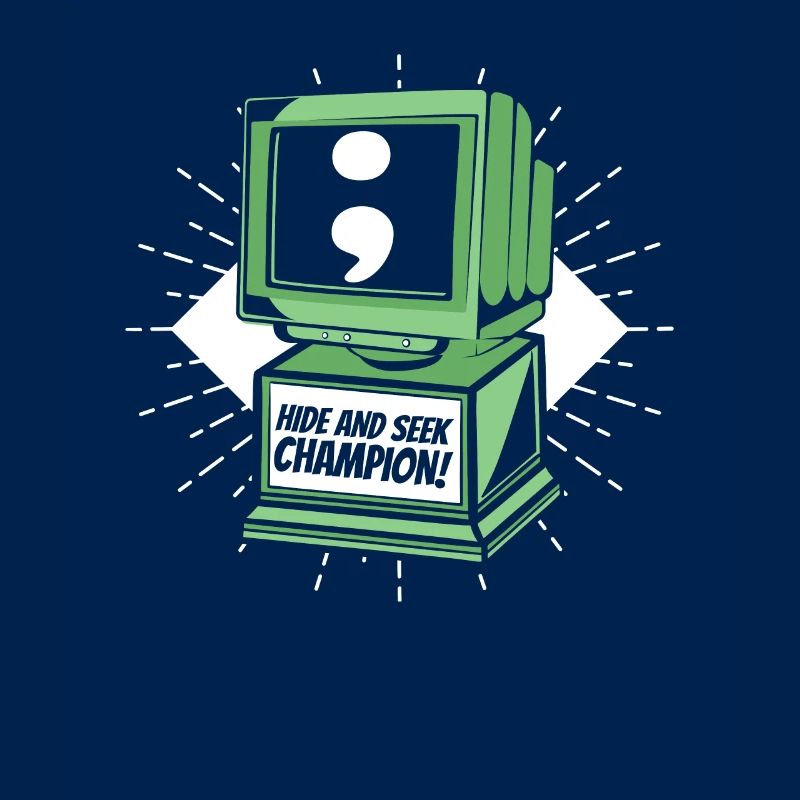 Hide And Seek Champion Software Engineer Coder