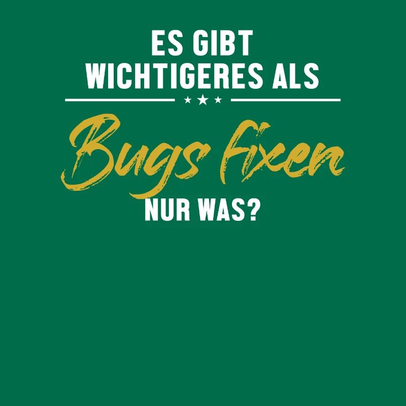 Wichtigeres als Bugs Fixen Developer Coder