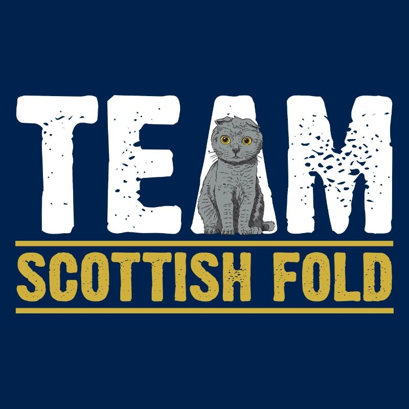 Scottish Fold Cat
